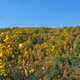 Illustration for article titled Fall Photos 2